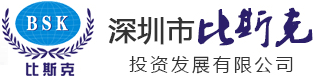 深圳市比斯克投资发展有限公司